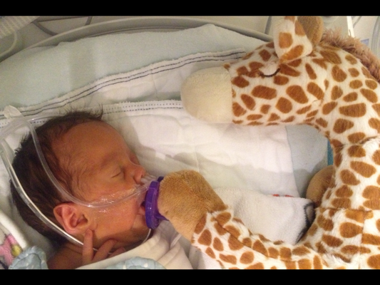 Felipe’s Story: The Beginning of Our Journey