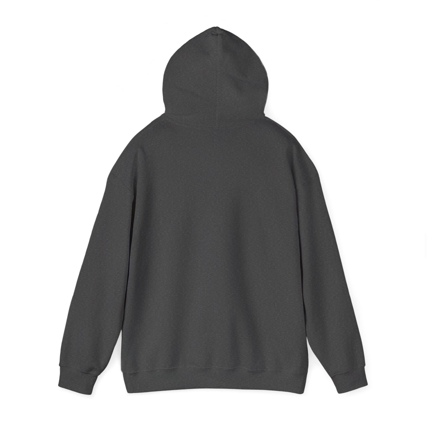 Rise as you are ™ Hooded Sweatshirt - 5 colors